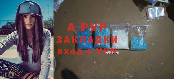 соль ск Инсар