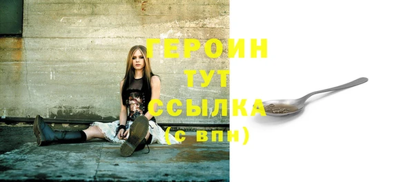 соль ск Инсар