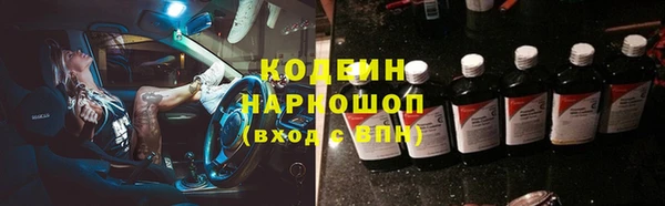 соль ск Инсар
