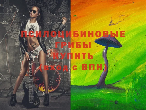 гашик Иннополис