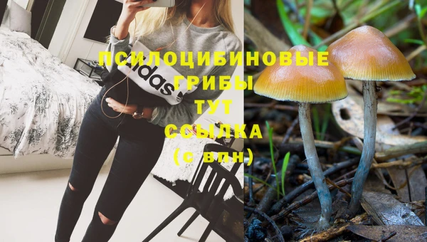 spice Заволжье