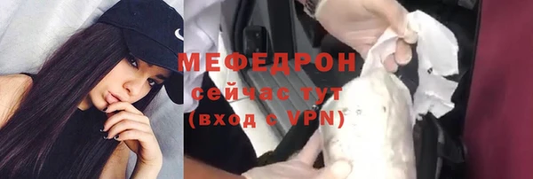 соль ск Инсар