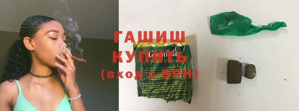 соль ск Инсар
