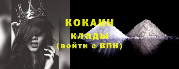 соль ск Инсар