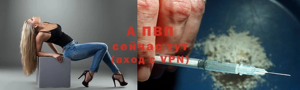 гашик Иннополис