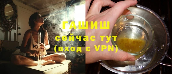 соль ск Инсар