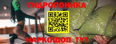 шишки Нарткала