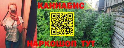 шишки Нарткала